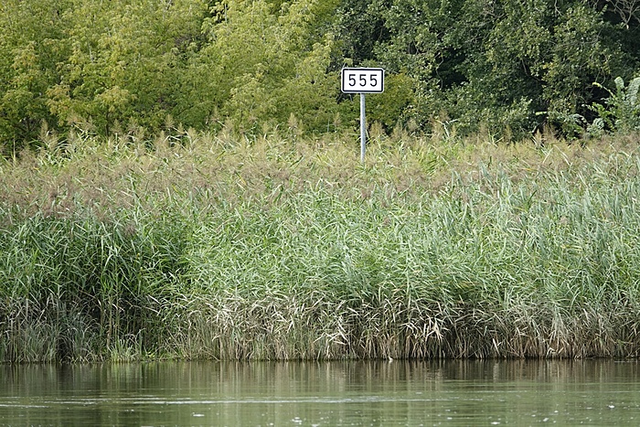 Klicke auf die Grafik für eine vergrößerte Ansicht  Name: _SNY6271k.jpg Ansichten: 0 Größe: 2,24 MB ID: 3080607