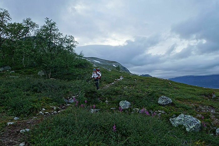 Klicke auf die Grafik für eine vergrößerte Ansicht  Name: Sarek Tag eins 25.jpg Ansichten: 0 Größe: 414,8 KB ID: 3081082