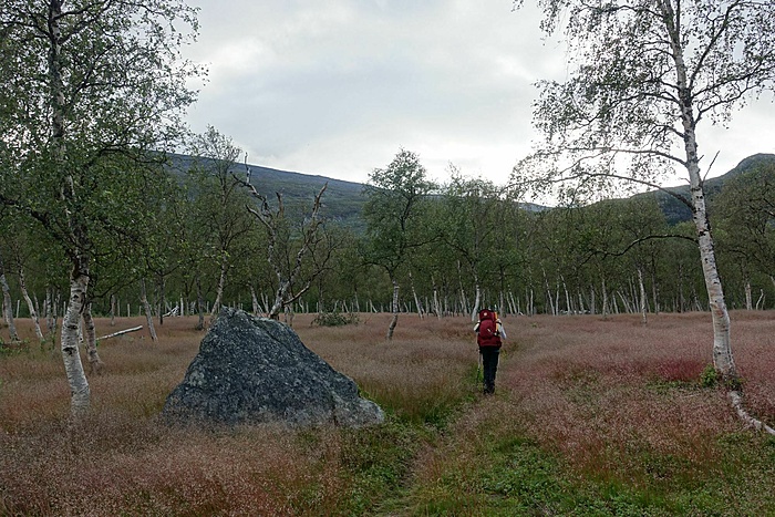 Klicke auf die Grafik für eine vergrößerte Ansicht  Name: Sarek Tag eins 21.jpg Ansichten: 0 Größe: 642,4 KB ID: 3081086