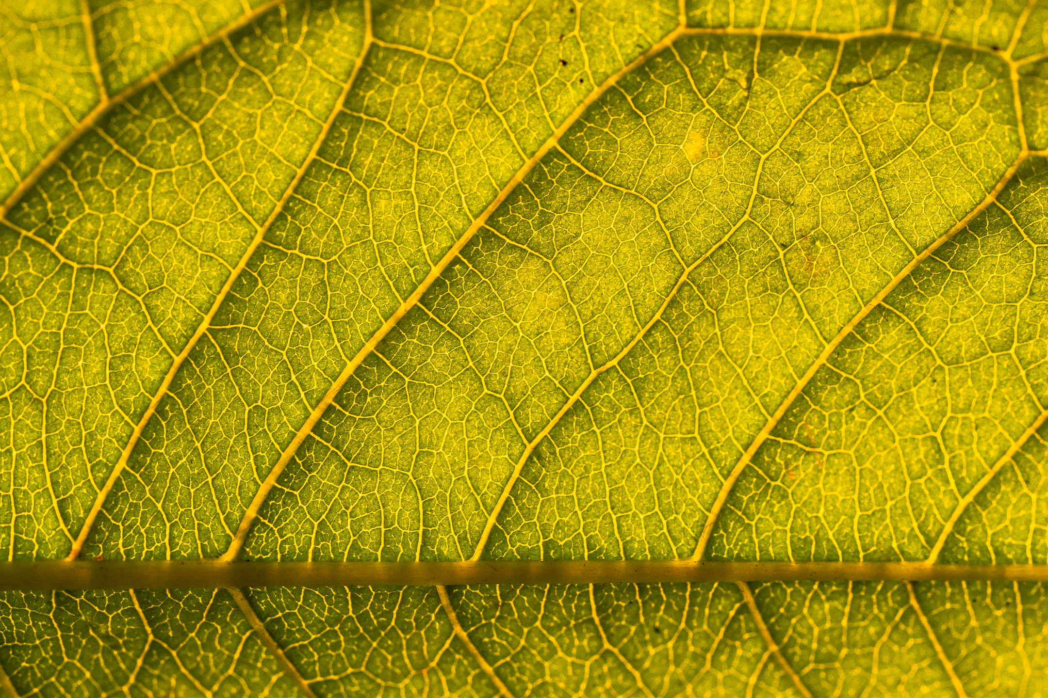 Klicke auf die Grafik für eine vergrößerte Ansicht

Name: 07. Oktober 2021- 50-20-3.jpg
Ansichten: 376
Größe: 4,86 MB
ID: 3081418