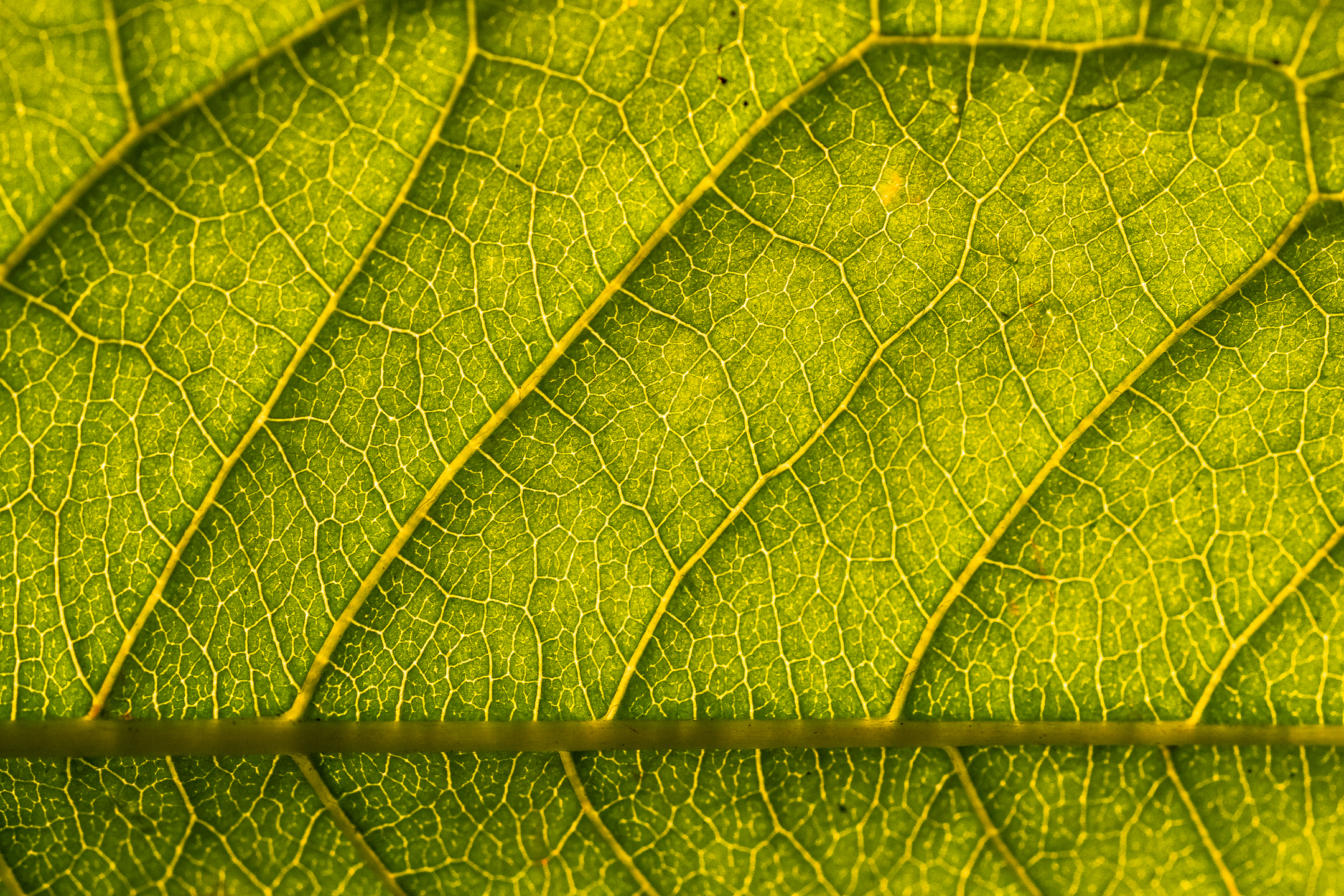Klicke auf die Grafik für eine vergrößerte Ansicht

Name: 07. Oktober 2021- 50-20.jpg
Ansichten: 379
Größe: 4,90 MB
ID: 3081419
