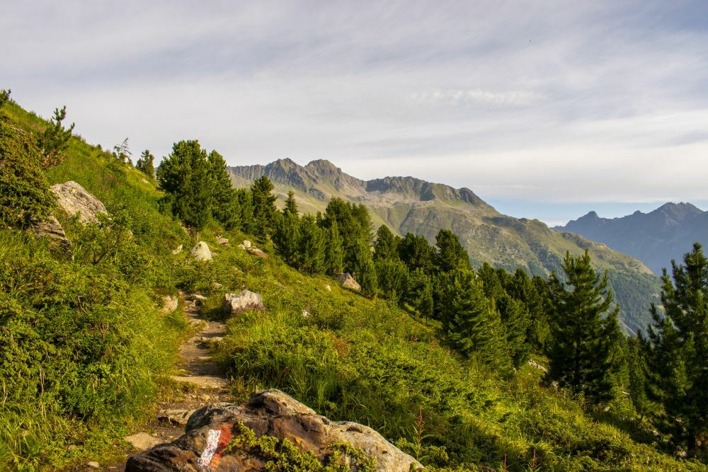 Klicke auf die Grafik für eine vergrößerte Ansicht  Name: 04 E5-Wandern direkt an der Baumgrenze.jpg Ansichten: 0 Größe: 159,5 KB ID: 3082959