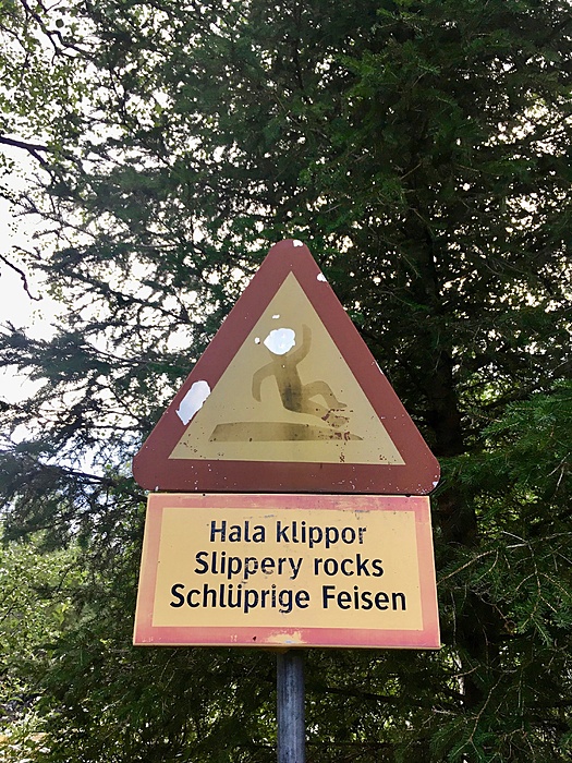 Schlüpprige Feisen