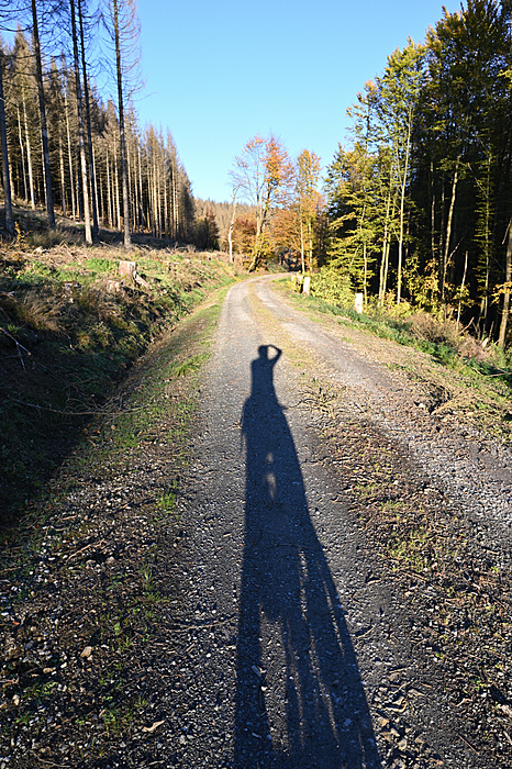 Klicke auf die Grafik für eine vergrößerte Ansicht

Name: DSC_1037.JPG
Ansichten: 485
Größe: 1,04 MB
ID: 3086105