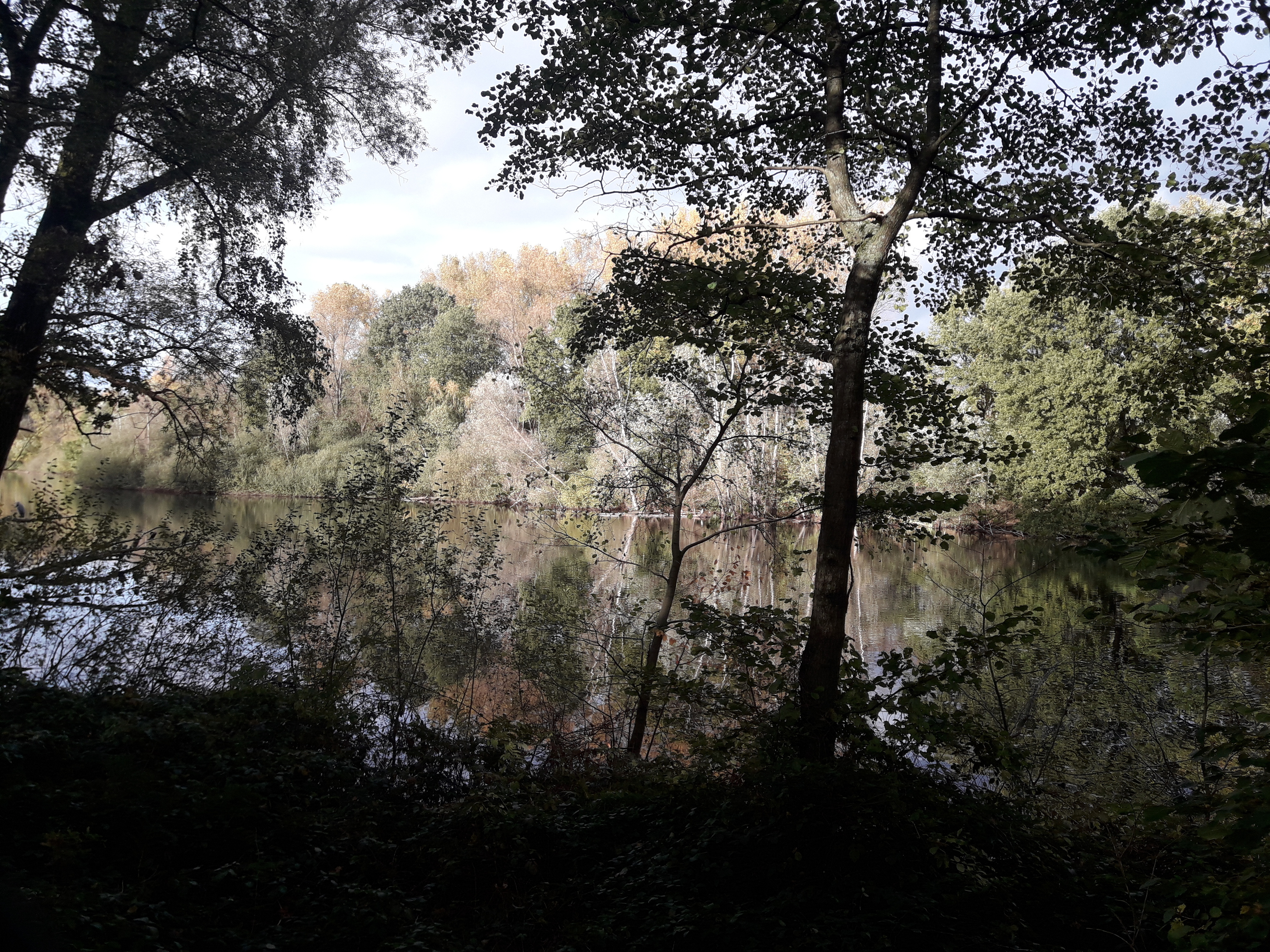 Klicke auf die Grafik für eine vergrößerte Ansicht

Name: hildensee.jpg
Ansichten: 586
Größe: 5,75 MB
ID: 3086174