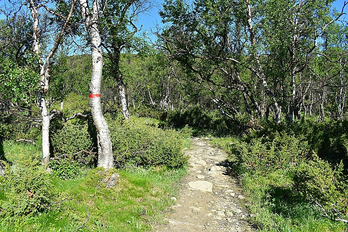 Klicke auf die Grafik für eine vergrößerte Ansicht  Name: DSC_0005.JPG Ansichten: 0 Größe: 1,35 MB ID: 3087491