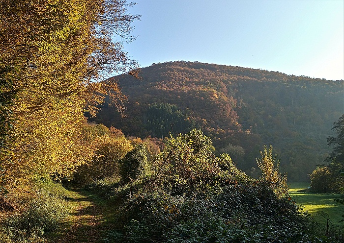 Klicke auf die Grafik für eine vergrößerte Ansicht  Name: 20211028_110252_HDR (2).jpg Ansichten: 552 Größe: 4,56 MB ID: 3087811