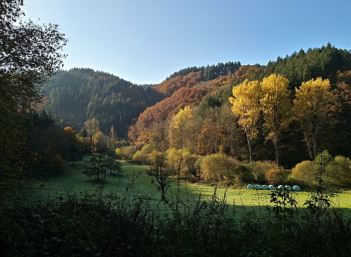 Klicke auf die Grafik für eine vergrößerte Ansicht  Name: 20211028_110720_HDR (2).jpg Ansichten: 548 Größe: 4,20 MB ID: 3087812