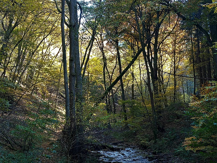 Klicke auf die Grafik für eine vergrößerte Ansicht  Name: 20211028_140249_HDR (2).jpg Ansichten: 549 Größe: 4,79 MB ID: 3087823