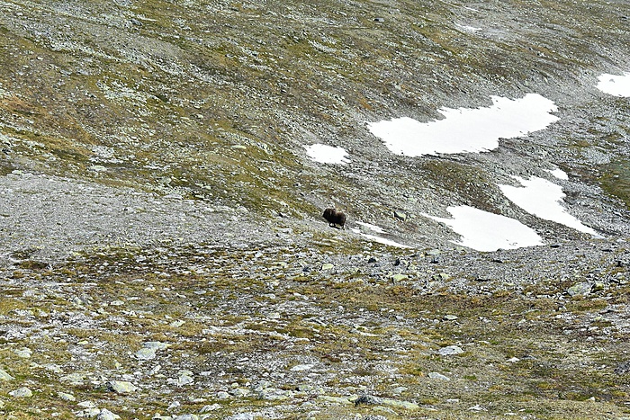 Klicke auf die Grafik für eine vergrößerte Ansicht

Name: DSC_0176.JPG
Ansichten: 999
Größe: 1,25 MB
ID: 3087923