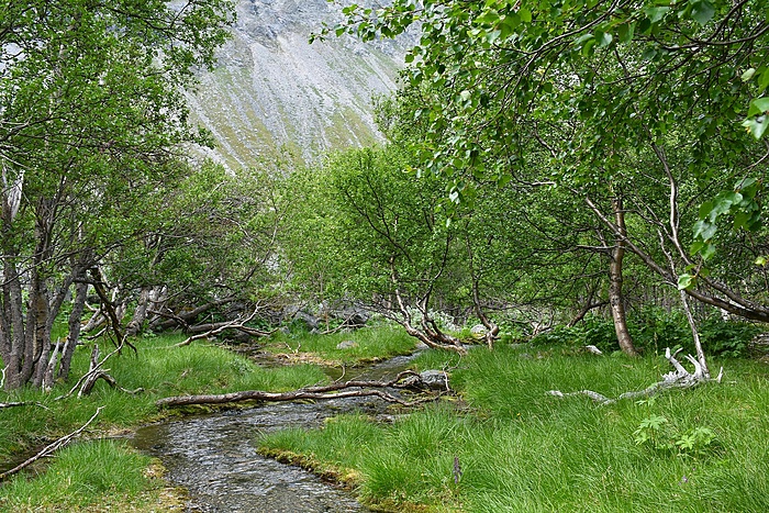 Klicke auf die Grafik für eine vergrößerte Ansicht

Name: DSC_0327.JPG
Ansichten: 738
Größe: 1,10 MB
ID: 3088920