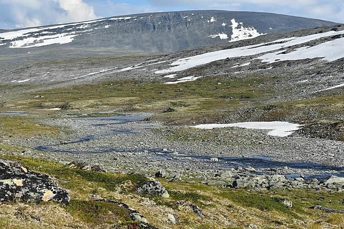 Klicke auf die Grafik für eine vergrößerte Ansicht

Name: DSC_0401.JPG
Ansichten: 743
Größe: 1,03 MB
ID: 3088957