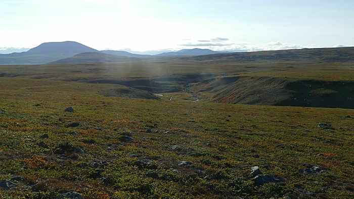 Klicke auf die Grafik für eine vergrößerte Ansicht

Name: 2021-09 Lappland mit Stefan, 043_verkleinert.jpg
Ansichten: 1040
Größe: 2,79 MB
ID: 3089347
