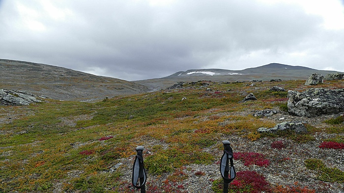 Klicke auf die Grafik für eine vergrößerte Ansicht  Name: 2021-09 Lappland mit Stefan, 081_verkleinert.jpg Ansichten: 0 Größe: 2,99 MB ID: 3089375