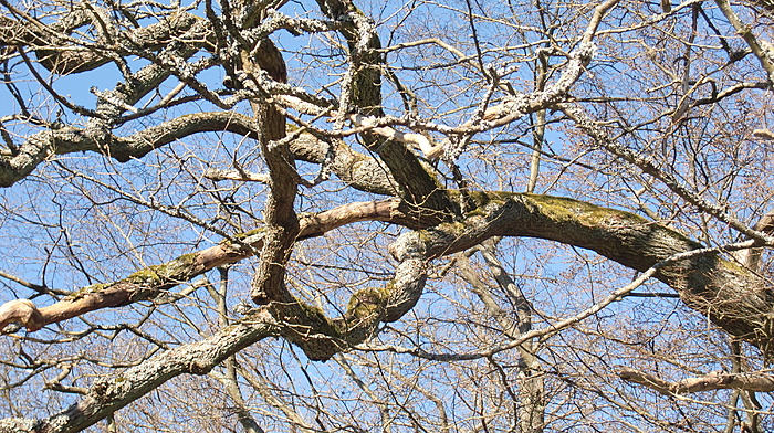 Klicke auf die Grafik für eine vergrößerte Ansicht

Name: download.jpg
Ansichten: 452
Größe: 7,58 MB
ID: 3089719