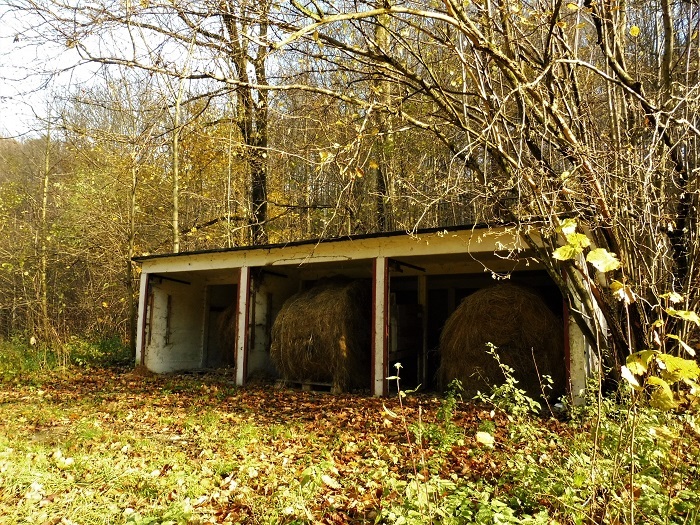 Klicke auf die Grafik für eine vergrößerte Ansicht  Name: Trebnitzgrund_Niedere Mühle.jpg Ansichten: 0 Größe: 274,4 KB ID: 3089740