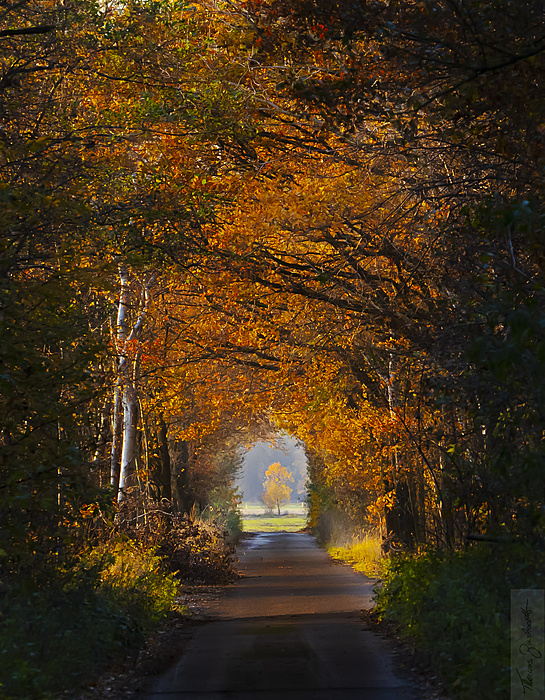 Klicke auf die Grafik für eine vergrößerte Ansicht

Name: Herbst November 2021-9065-2.jpg
Ansichten: 239
Größe: 1,53 MB
ID: 3090098