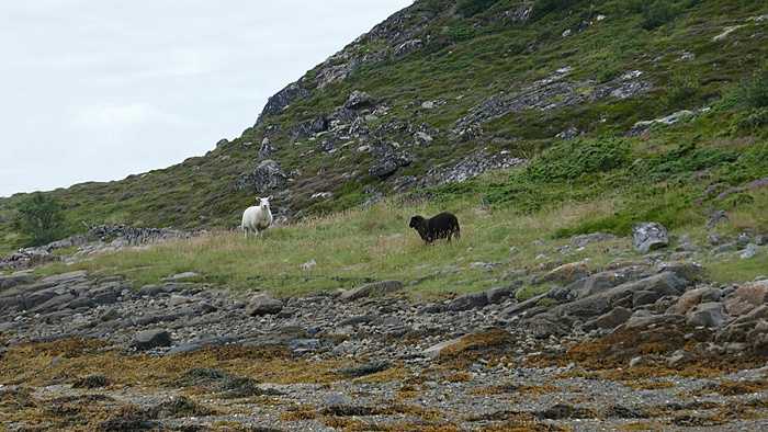 Klicke auf die Grafik für eine vergrößerte Ansicht

Name: Norwegen229.jpg
Ansichten: 323
Größe: 2,52 MB
ID: 3090370