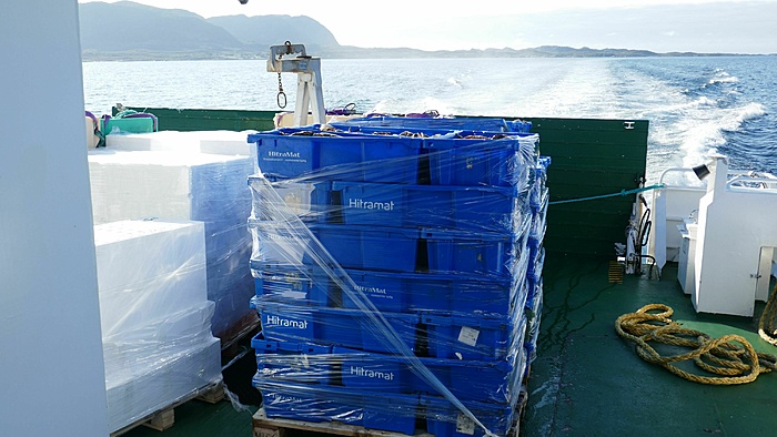 Klicke auf die Grafik für eine vergrößerte Ansicht

Name: Norwegen245.jpg
Ansichten: 322
Größe: 1,83 MB
ID: 3090377
