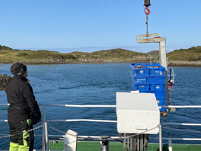 Klicke auf die Grafik für eine vergrößerte Ansicht

Name: Norwegen241.JPG
Ansichten: 311
Größe: 2,27 MB
ID: 3090389