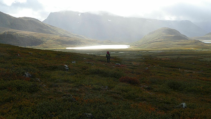 Klicke auf die Grafik für eine vergrößerte Ansicht  Name: 2021-09 Lappland mit Stefan, 127_verkleinert.jpg Ansichten: 0 Größe: 2,21 MB ID: 3091306