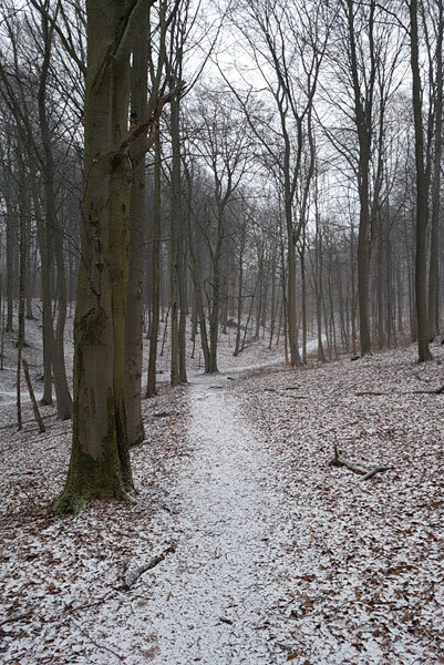 Klicke auf die Grafik für eine vergrößerte Ansicht  Name: 210206-001.jpg Ansichten: 0 Größe: 113,4 KB ID: 3091974