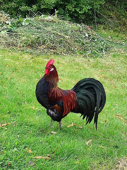 Klicke auf die Grafik für eine vergrößerte Ansicht  Name: 18 8 1.jpg Ansichten: 0 Größe: 7,09 MB ID: 3093601