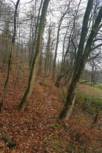Klicke auf die Grafik für eine vergrößerte Ansicht  Name: 211127-038.jpg Ansichten: 0 Größe: 122,3 KB ID: 3095422