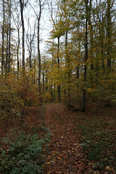 Klicke auf die Grafik für eine vergrößerte Ansicht

Name: 181101-016.jpg
Ansichten: 308
Größe: 123,6 KB
ID: 3095567