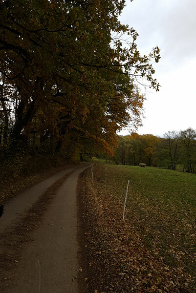 Klicke auf die Grafik für eine vergrößerte Ansicht  Name: 181102-025.jpg Ansichten: 0 Größe: 78,3 KB ID: 3095587