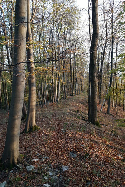 Klicke auf die Grafik für eine vergrößerte Ansicht  Name: 181102-069.jpg Ansichten: 0 Größe: 129,5 KB ID: 3095592