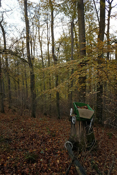 Klicke auf die Grafik für eine vergrößerte Ansicht  Name: 181102-060.jpg Ansichten: 0 Größe: 119,2 KB ID: 3095595