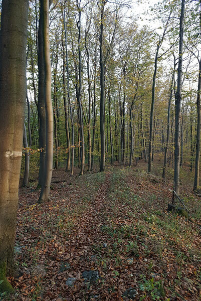 Klicke auf die Grafik für eine vergrößerte Ansicht  Name: 181102-065.jpg Ansichten: 0 Größe: 123,9 KB ID: 3095596