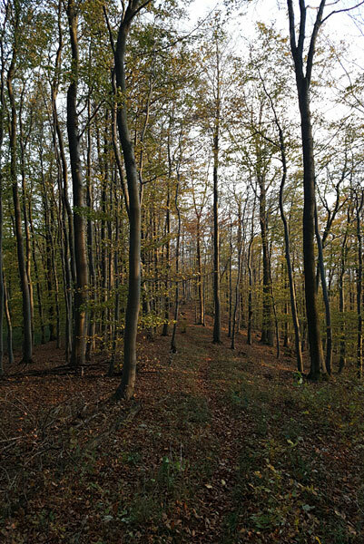 Klicke auf die Grafik für eine vergrößerte Ansicht  Name: 181102-066.jpg Ansichten: 0 Größe: 125,6 KB ID: 3095597