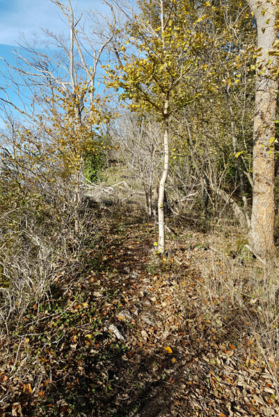 Klicke auf die Grafik für eine vergrößerte Ansicht  Name: 181103-091.jpg Ansichten: 0 Größe: 152,0 KB ID: 3095608