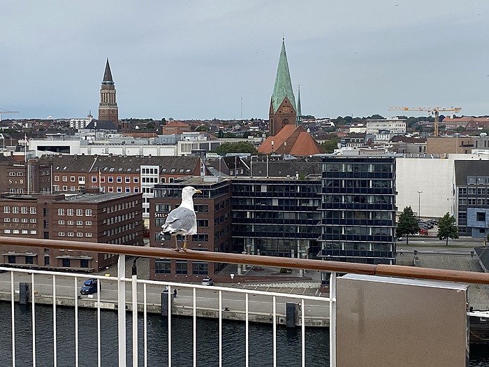 Klicke auf die Grafik für eine vergrößerte Ansicht

Name: Norwegen348.JPG
Ansichten: 474
Größe: 2,35 MB
ID: 3096686