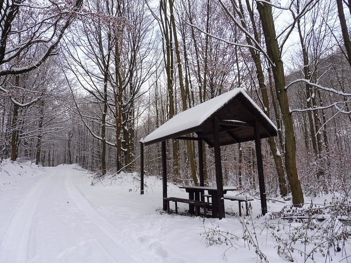 Klicke auf die Grafik für eine vergrößerte Ansicht  Name: Osterzgebirge_sumny dul.JPG Ansichten: 0 Größe: 218,5 KB ID: 3098195