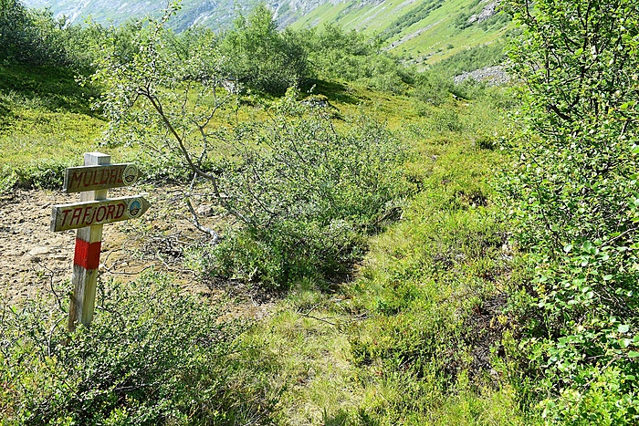 Klicke auf die Grafik für eine vergrößerte Ansicht  Name: DSC_0984.JPG Ansichten: 0 Größe: 1,34 MB ID: 3099756