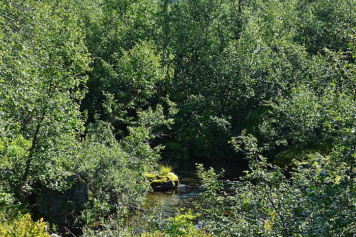 Klicke auf die Grafik für eine vergrößerte Ansicht  Name: DSC_1006.JPG Ansichten: 0 Größe: 1,09 MB ID: 3100383