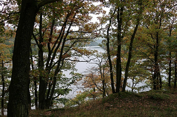 Klicke auf die Grafik für eine vergrößerte Ansicht  Name: IMG_4939.JPG Ansichten: 0 Größe: 653,4 KB ID: 3100958