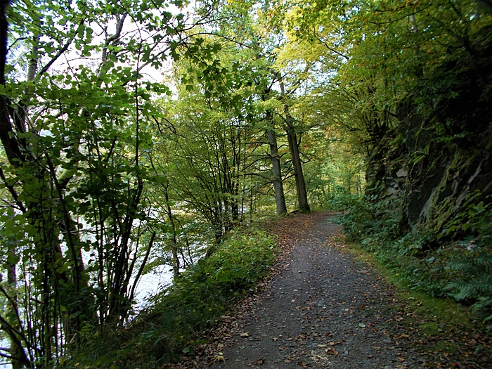 Klicke auf die Grafik für eine vergrößerte Ansicht  Name: DSCN3284.JPG Ansichten: 0 Größe: 4,23 MB ID: 3100961