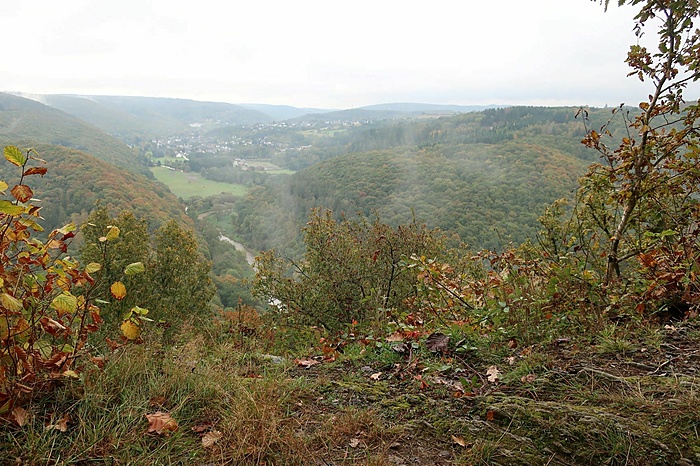 Klicke auf die Grafik für eine vergrößerte Ansicht  Name: IMG_4984.JPG Ansichten: 0 Größe: 488,3 KB ID: 3100985