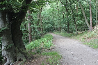 Klicke auf die Grafik für eine vergrößerte Ansicht

Name: 0904-5 Weg Elbufer.JPG
Ansichten: 523
Größe: 198,2 KB
ID: 3102757