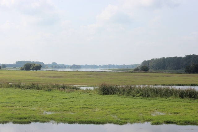 Klicke auf die Grafik für eine vergrößerte Ansicht

Name: 0907-4 Landschaft.JPG
Ansichten: 403
Größe: 102,8 KB
ID: 3102800