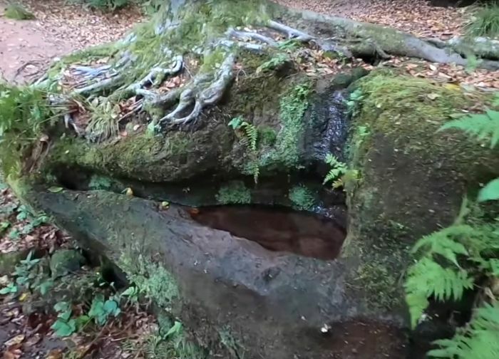Klicke auf die Grafik für eine vergrößerte Ansicht

Name: Zigeunerbrunnen1a.jpg
Ansichten: 157
Größe: 80,2 KB
ID: 3103348