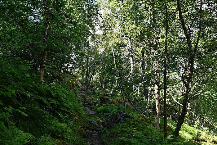 Klicke auf die Grafik für eine vergrößerte Ansicht  Name: DSC_0349.JPG Ansichten: 0 Größe: 996,7 KB ID: 3103700