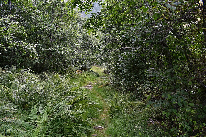 Klicke auf die Grafik für eine vergrößerte Ansicht

Name: DSC_0815.JPG
Ansichten: 1119
Größe: 1,07 MB
ID: 3104692