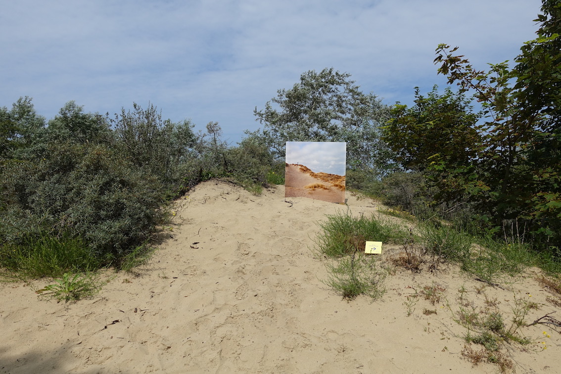 Klicke auf die Grafik für eine vergrößerte Ansicht

Name: 46 Kunst in den  Sand gesetzt.jpg
Ansichten: 694
Größe: 350,5 KB
ID: 3104672