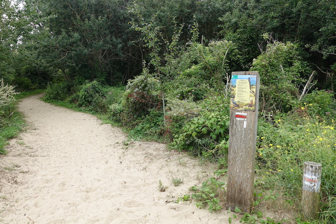 Klicke auf die Grafik für eine vergrößerte Ansicht  Name: 53 und seine Dune Marchand.jpg Ansichten: 0 Größe: 478,8 KB ID: 3104702