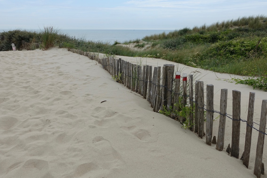 Klicke auf die Grafik für eine vergrößerte Ansicht  Name: 57 Dune Dewolf.jpg Ansichten: 0 Größe: 228,9 KB ID: 3104706